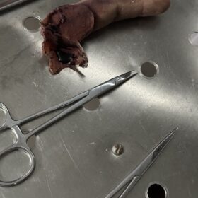 Fake silicone finger